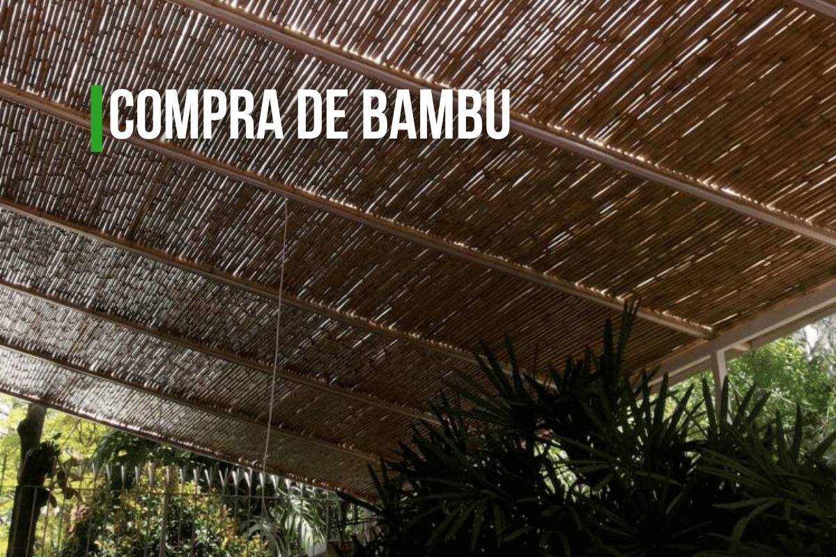 Comprar Bambu para Arquitetura e Decoração | Kanela Bambu
