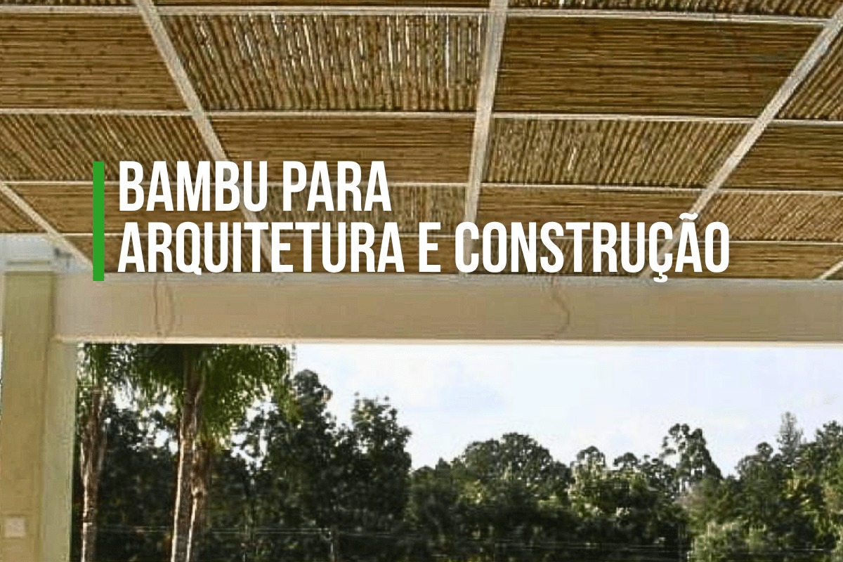 Bambu para Arquitetura e Construção | Kanela Bambu