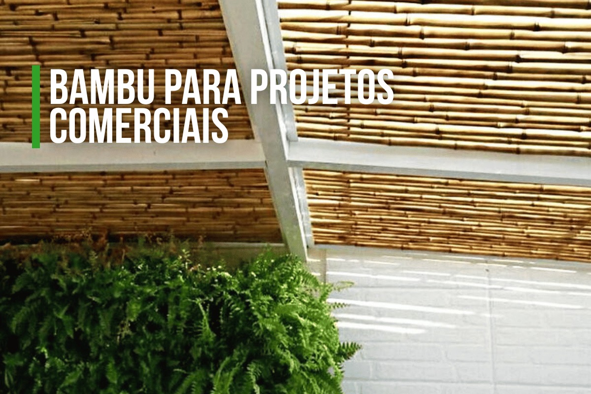 Bambu para Projetos Comerciais | Kanela Bambu