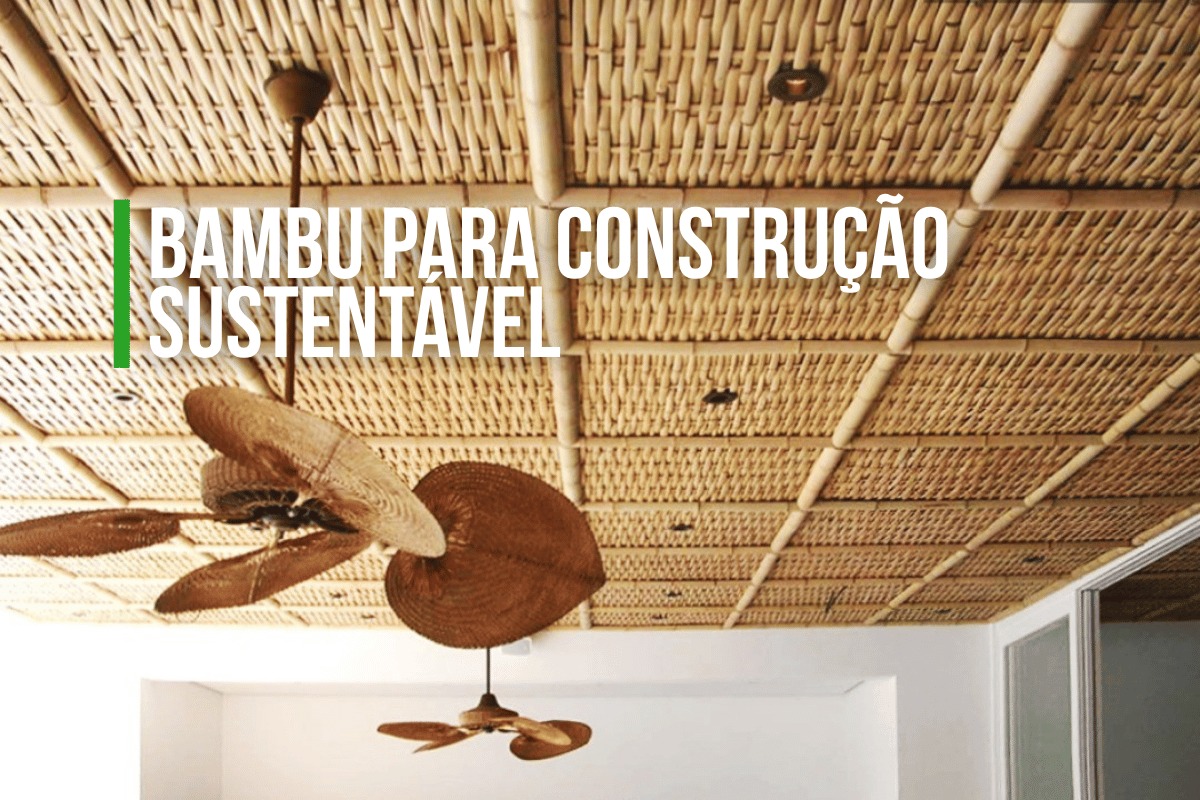 Bambu para Construção Sustentável | Kanela Bambu