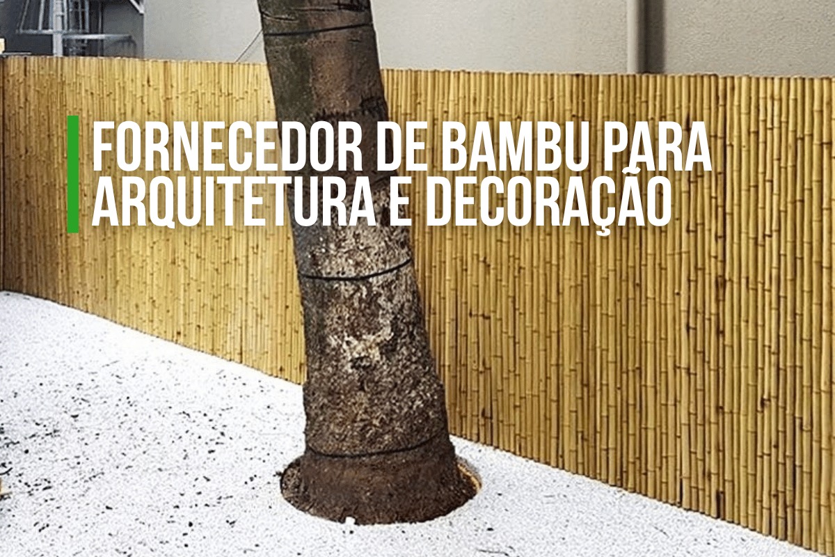 Fornecedor de Bambu para Arquitetura | Kanela Bambu