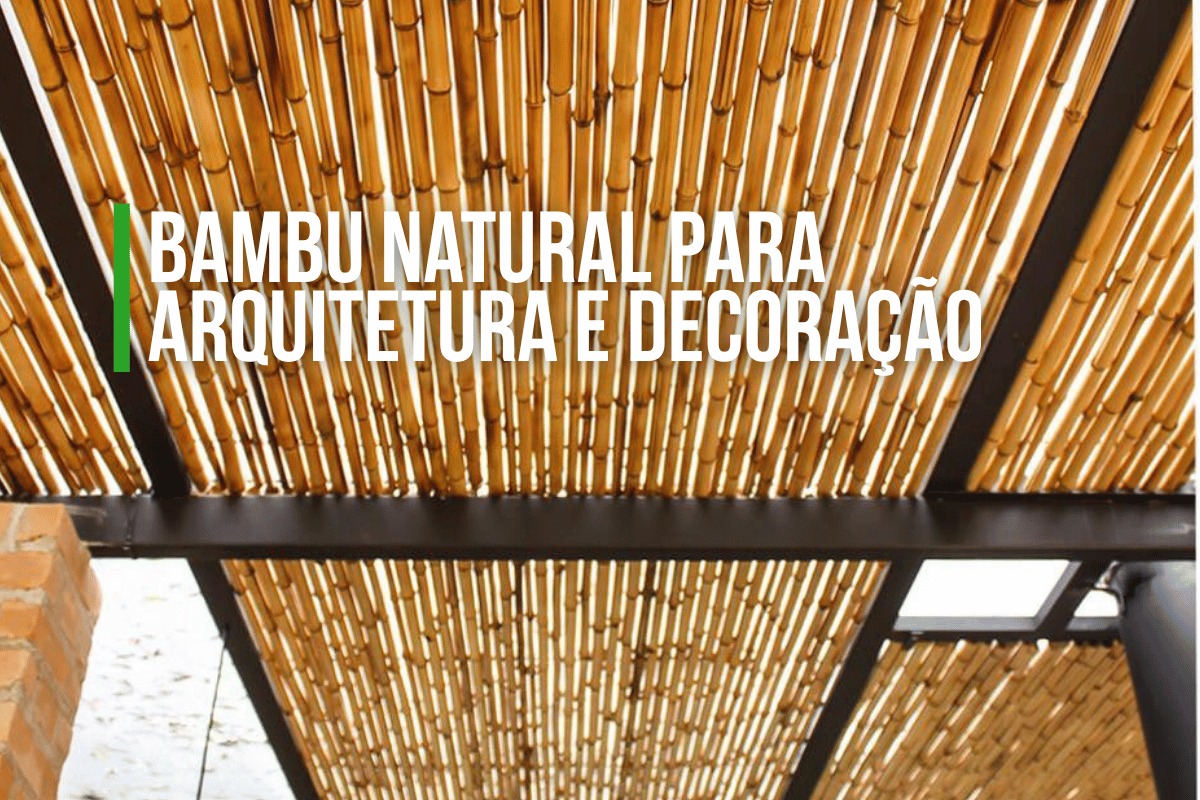 Bambu Natural para Arquitetura e Decoração | Kanela Bambu