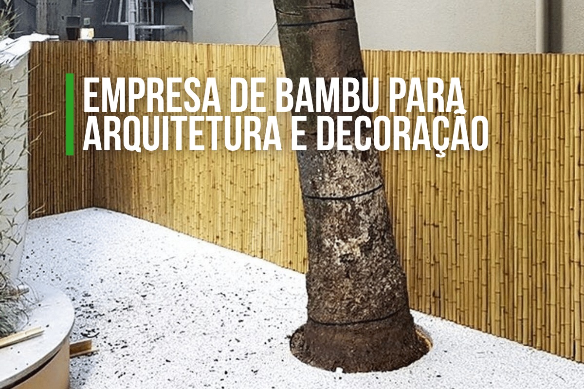 Empresa de Bambu para Arquitetura | Kanela Bambu