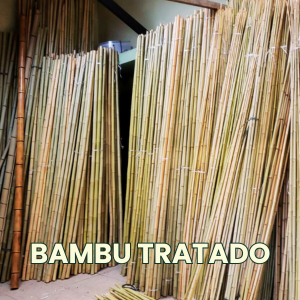 Bambu tratado para construção